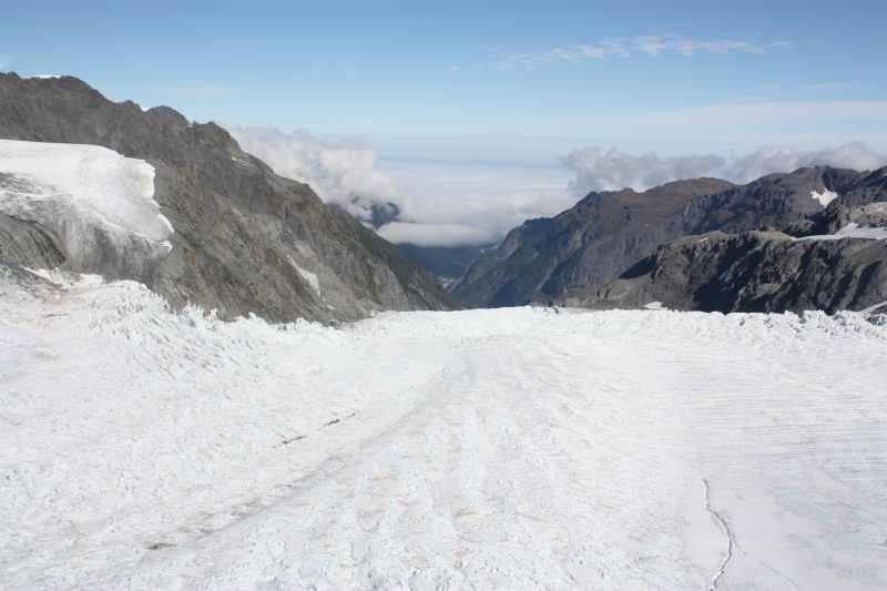 Nieuw-Zeeland 2011 - 1506